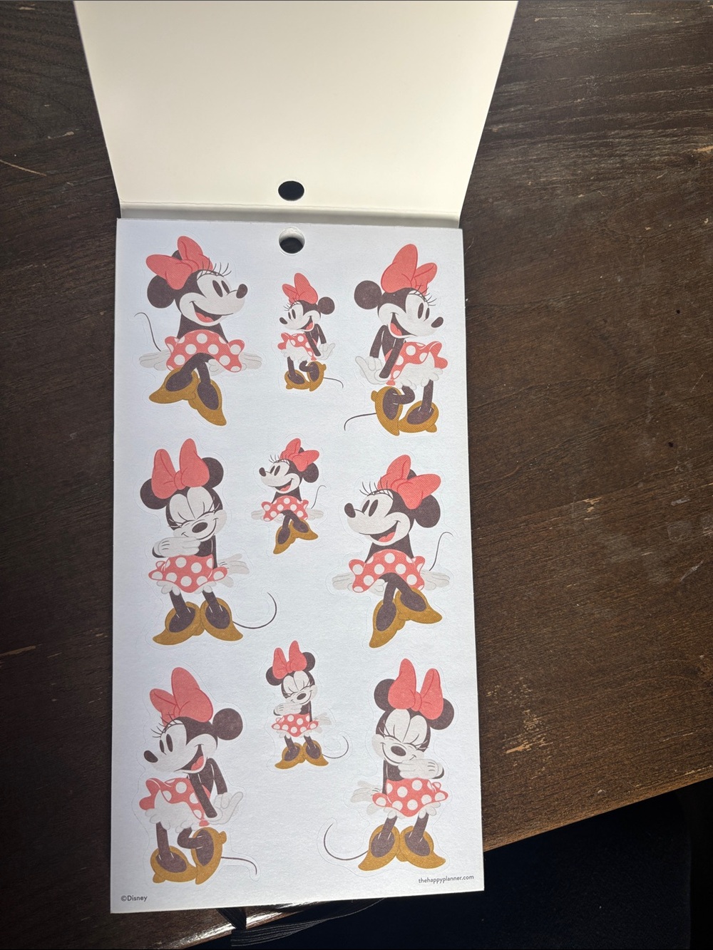 Disney Oasis Adventure Sticker Pack-The Happy Planner - Picture 3 of 6